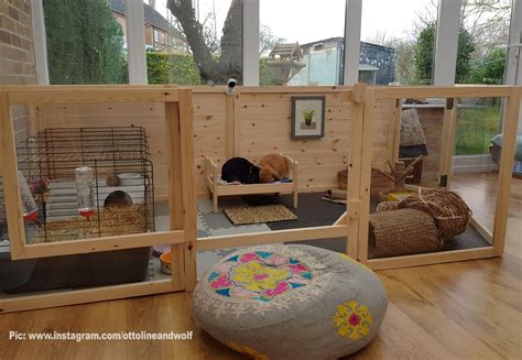 A Great Indoor Set Up Here For Some Very Lucky Bunnies Pic Courtesy Of