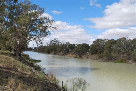 The Darling River Starts Officially Between Brewarrina An