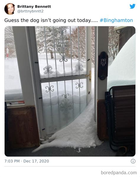 Record Breaking Snowfall Buries Binghamton New York And Heres What People Woke Up To 30 Pics