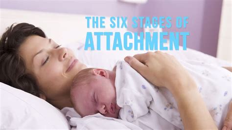 Stages Of Attachment