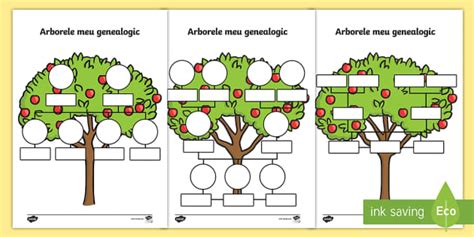Model Arbore Genealogic Al Familiei Fișe De Activitate