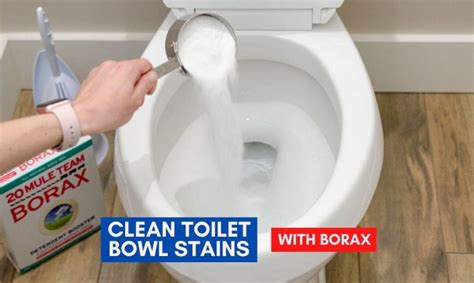 How To Clean Toilet Bowl Stains 5 Quick And Easy Ways Page 2