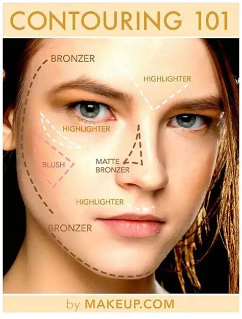 Then, gently diffuse and drag the color down the jaw line. How to apply highlighter, bronzer, blush. | Makeup charts, Highlighter and bronzer, Contouring ...