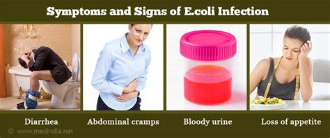 E Coli Infection Escherichia Coli Infection Causes Diagnosis Symptoms Treatment Risk