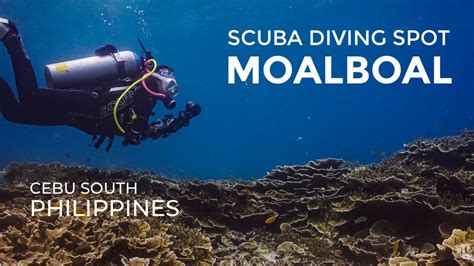 Scuba Diving Spot Moalboal Cebu Philippines Youtube