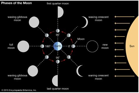 The Sun Earth Moon System Diagram Quizlet