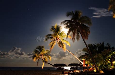 Tropical Beach Resort At Night Stock Photo Image 23540080