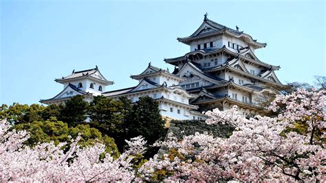 Japanese Castle At Night Wallpapers On Wallpaperdog