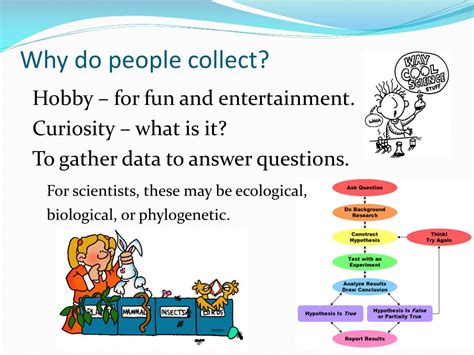Ppt Why Collect Lepidoptera The Role Of Museums And Collections