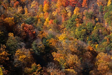 top spots for fall foliage adventures in albany county fall foliage largest waterfall
