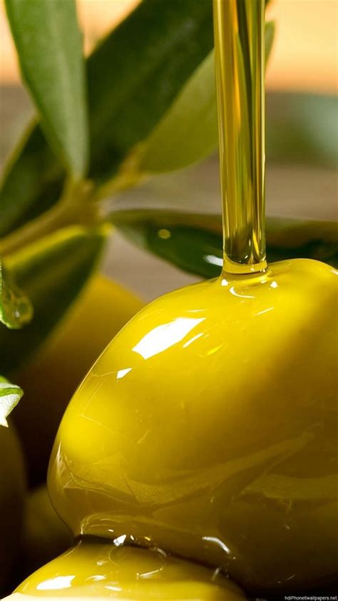 Olive Oil Wallpapers Top Free Olive Oil Backgrounds Wallpaperaccess