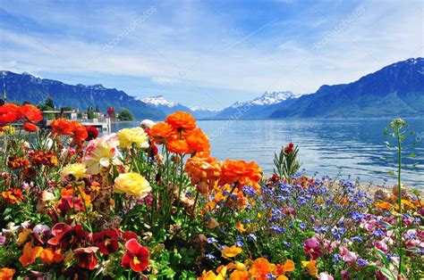 Flowers Mountains Ald Lake — Stock Photo © Krasnevsky 25569791