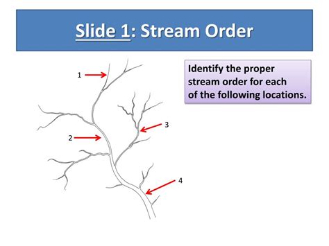 Ppt Watersheds And Stream Order Powerpoint Presentation Free