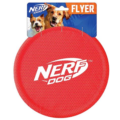 7 Best Dog Frisbees
