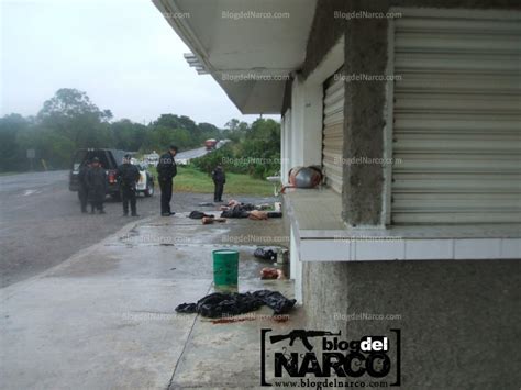 La Neta Duele 100 Actitud Descuartizan A Dos Hombres En Veracruz