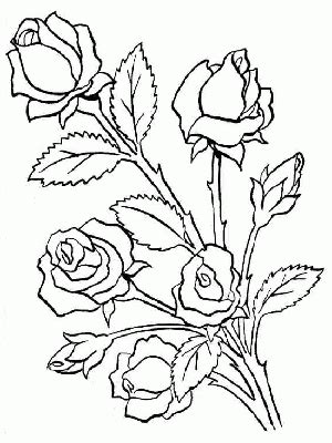 Dibujos para colorear de ramos de flores para pintar online. Bonito ramo de rosas - Dibujos para colorear