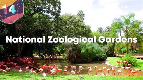 15 Most Amazing Zoos In The World Video Dailymotion
