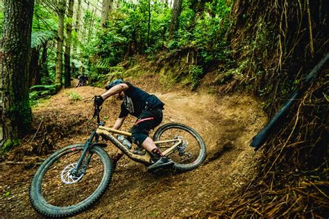 How To Buy Your First Mountain Bike Nzmtb