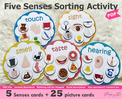 5 Sense Activities For Preschool 5 Senses Planning Playtime