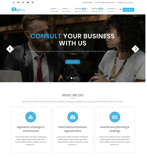 Bizberg Wordpress Business Theme Beautiful Themes