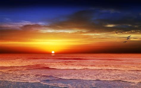 Free photo: Sunset beach - Beach, Landscape, Ocean - Free Download - Jooinn
