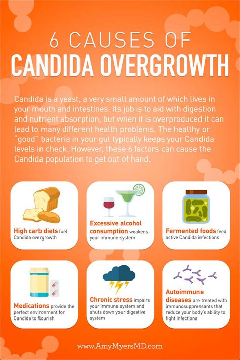 Candida Overgrowth 10 Signs The Best Solution Yeast Infection