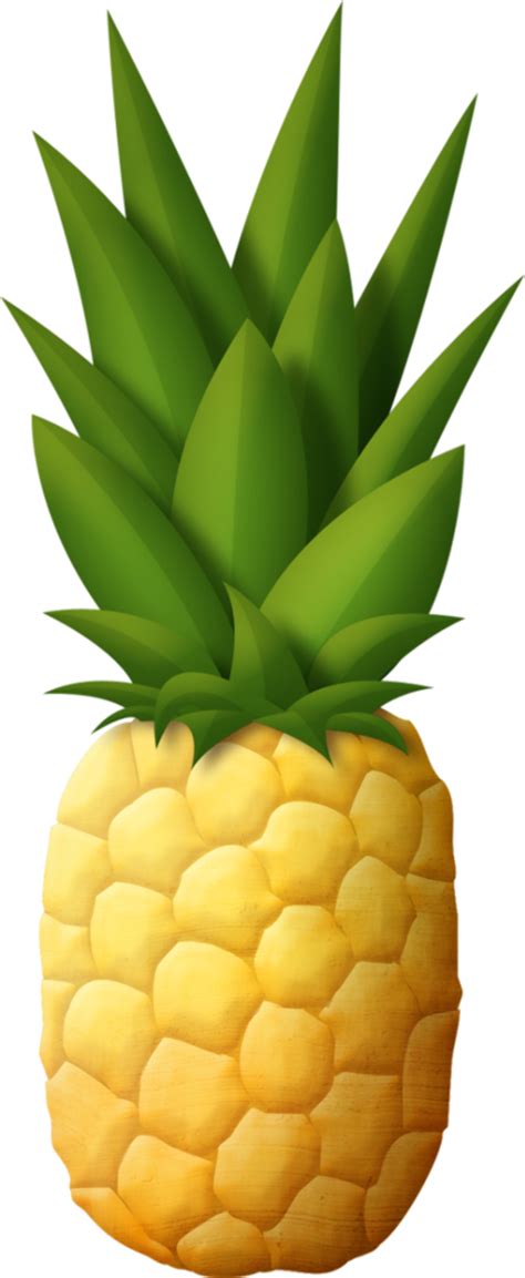 Download High Quality Pineapple Clipart Printable Transparent Png