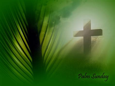 Palm Sunday Praise Jesus