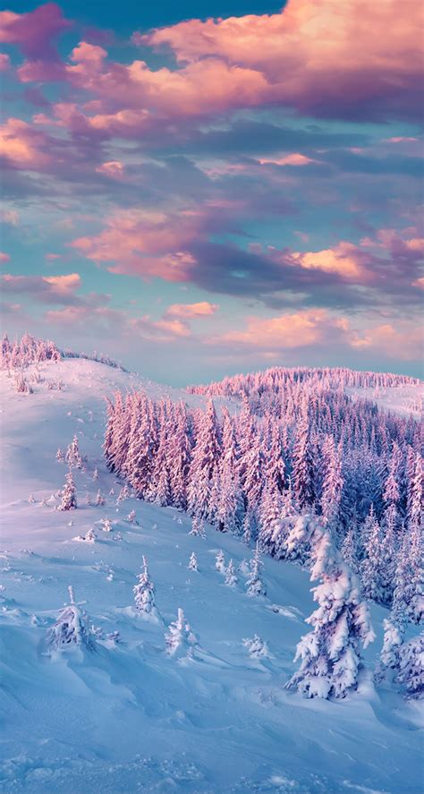 19 Stunning Cute Winter Aesthetics Wallpapers
