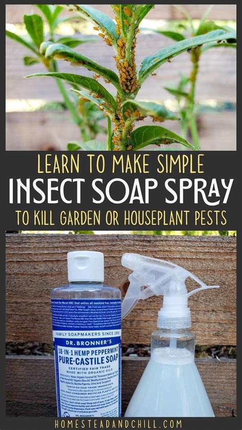 How To Make Natural Pest Spray