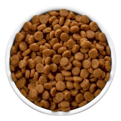 Hill's prescription diet c/d multicare urinary care dry cat food, veterinary diet visit the hill's prescription diet store. Hills Prescription Diet Feline c/d Urinary Care Multicare ...