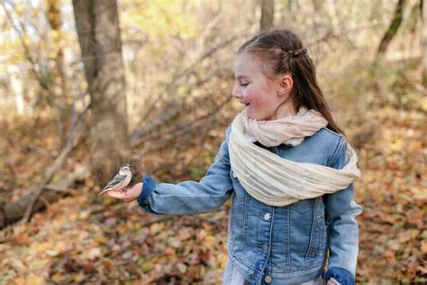 Little Girl Holding Bird On Palm In Forest Stock Photo Dissolve