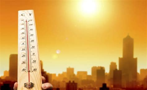 Olas de calor ya comienzan antes serán más frecuentes y severas OMM DDT