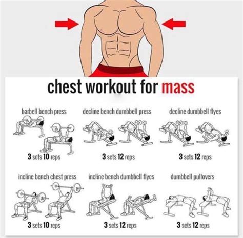 39 Best Full Chest Workout For Mass For Workout Routine Fitness And