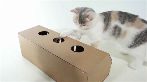 Diy Cat Toy Whack A Mole Game For Your Feline Youtube