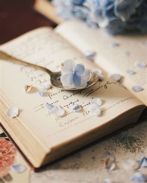 Vintage Book And Flowers Book Flowers Creative Photography Book