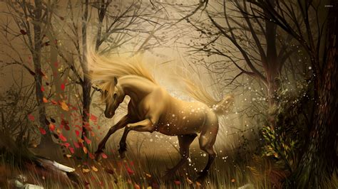 Unicorn In The Enchanted Forest Wallpaper Fantasy Wallpapers 23493