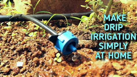 Make A Drip Irrigation System Very Simple At Home Youtube
