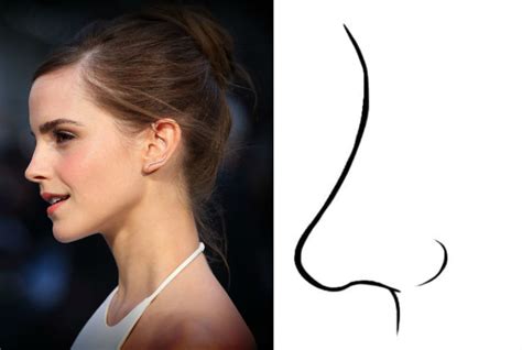 ≡ 7 Nose Shapes That Reveal Secrets about Your Personality Brain Berries gambar png