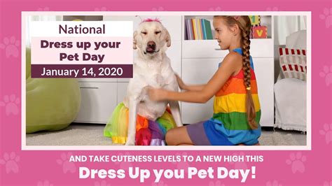 National Dress Up Your Pet Day January 14 2020 Youtube