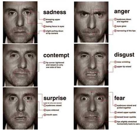 More advanced emotion detectors recognize complex feelings by mixing these basic classifications. How To Tell When People Are Lying to You (in a crisis ...