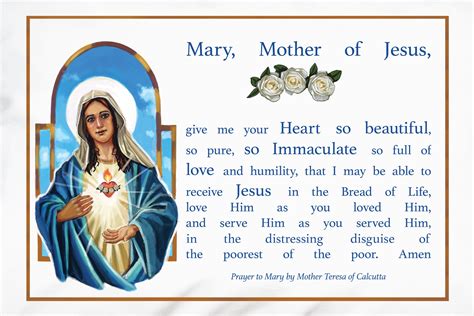 August Devotion Immaculate Heart Of Mary Prayer Pillowcases