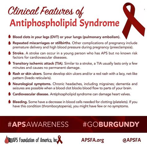 Aps Awareness Month Day 3 Today We Bring You The Clinical Features