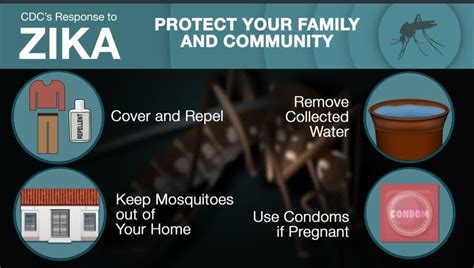 Zika Virus Prevention Summary For General Public In Puerto Rico Youtube