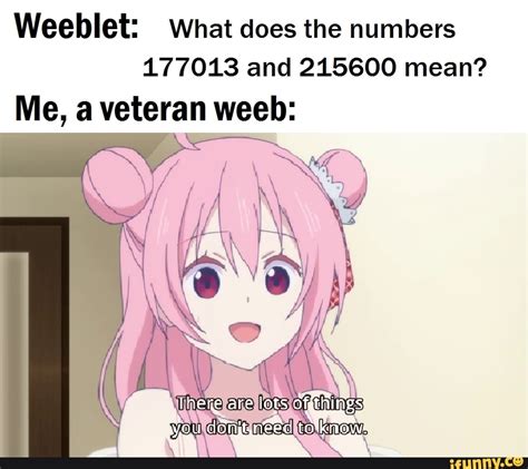 Weeblet What Does The Numbers 177013 And 215600 Mean Me A Veteran