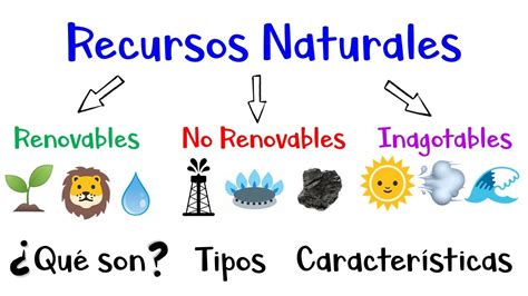 Introducir 54 Imagen Dibujos De Recursos Naturales Viaterra Mx