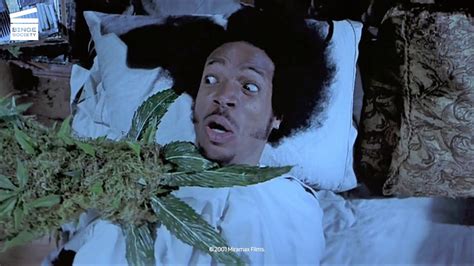 Scary Movie 2 Shorty Gets Smoked By His Own Weed Hd Clip Youtube