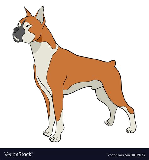 Cartoon Boxer Dog Royalty Free Vector Image Vectorstock