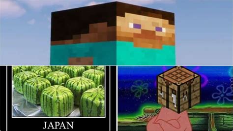 The 15 Best Minecraft Memes Vgkami