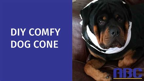 Diy Comfy Dog Cone How To Make A Homemade Dog Cone Alternative Youtube
